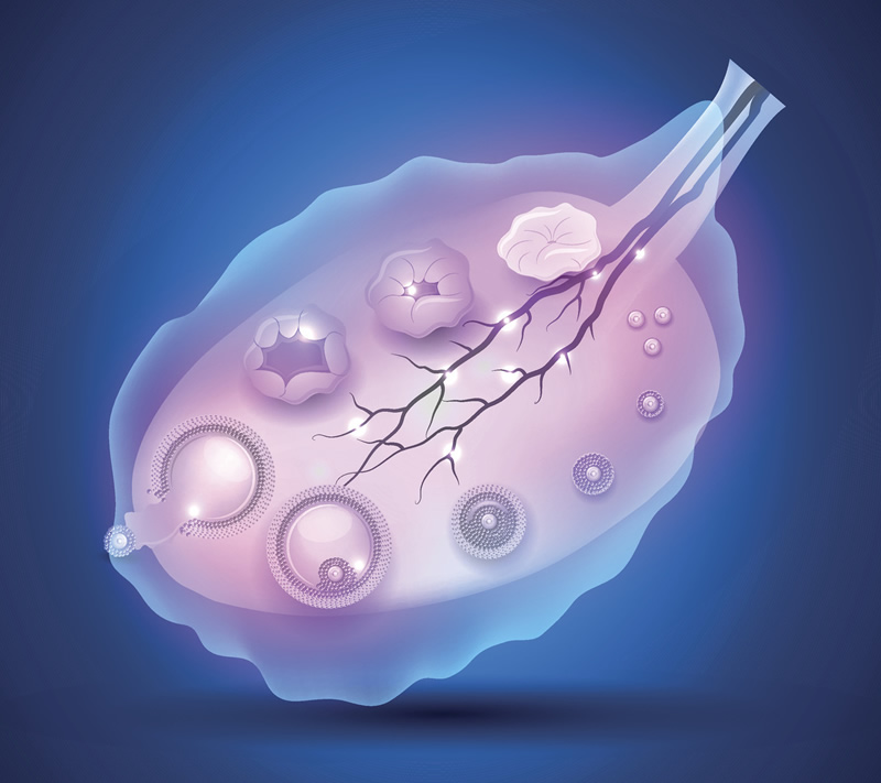 武汉试管医院排名前十强榜单：同济、协和等三甲领衔，附私立机构对比及移植后出血应对指南